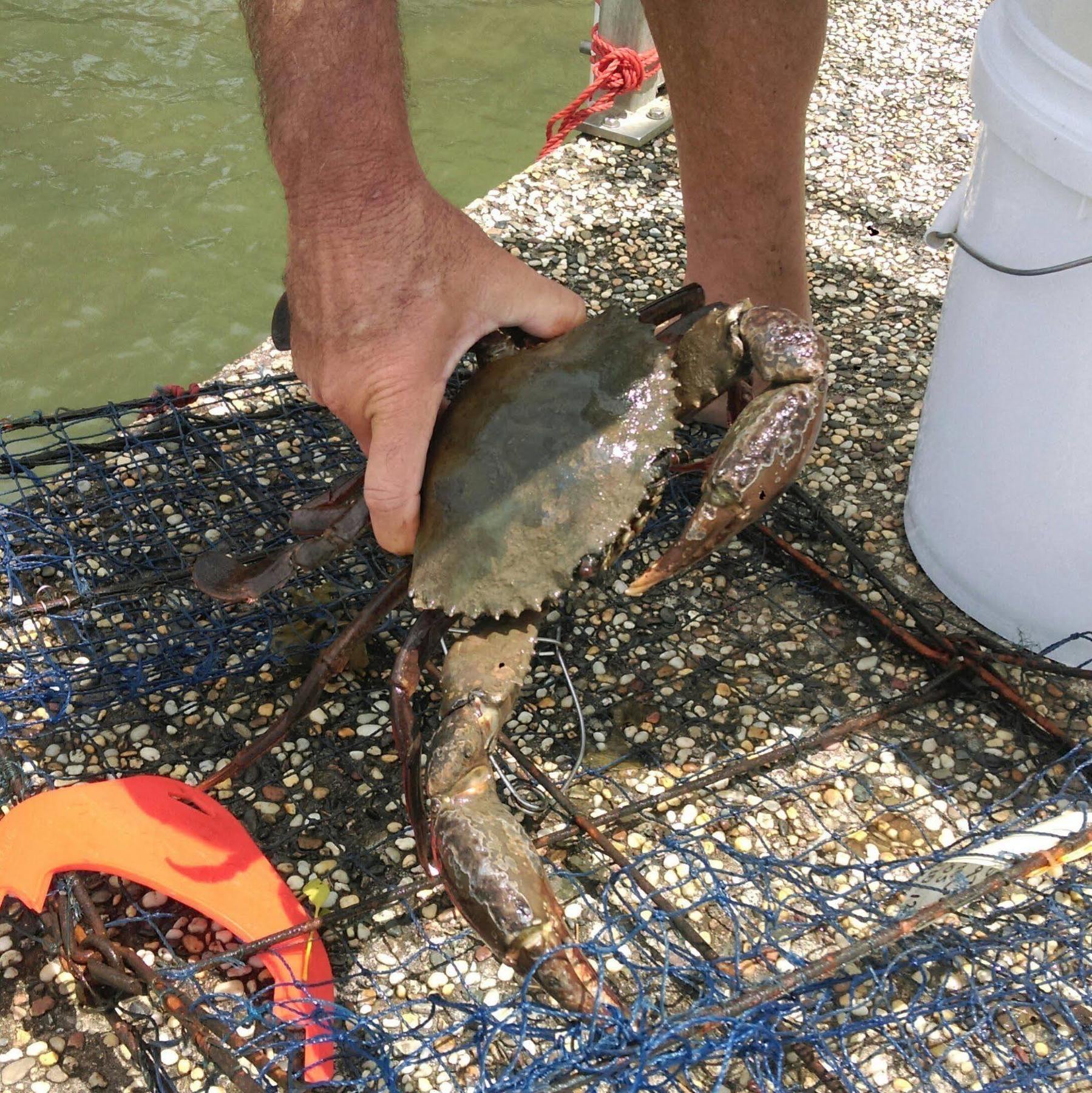Cayman Quays Μοτέλ Noosaville Εξωτερικό φωτογραφία